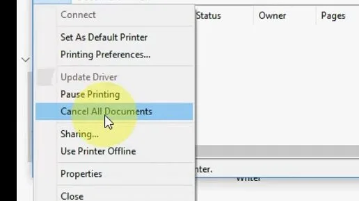 Canceling the document