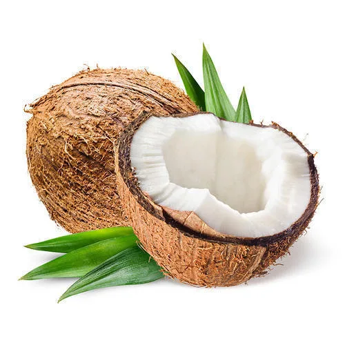 Coconut Meat